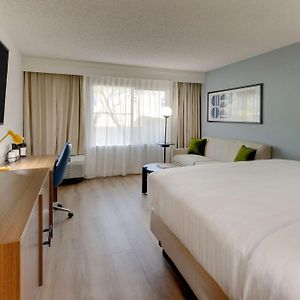 Guestroom King Sofa Bed